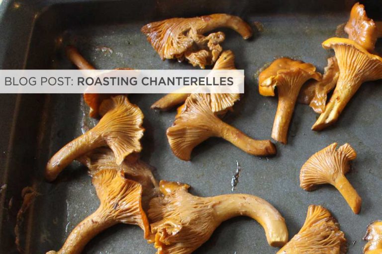 Roasting Chanterelle Mushrooms
