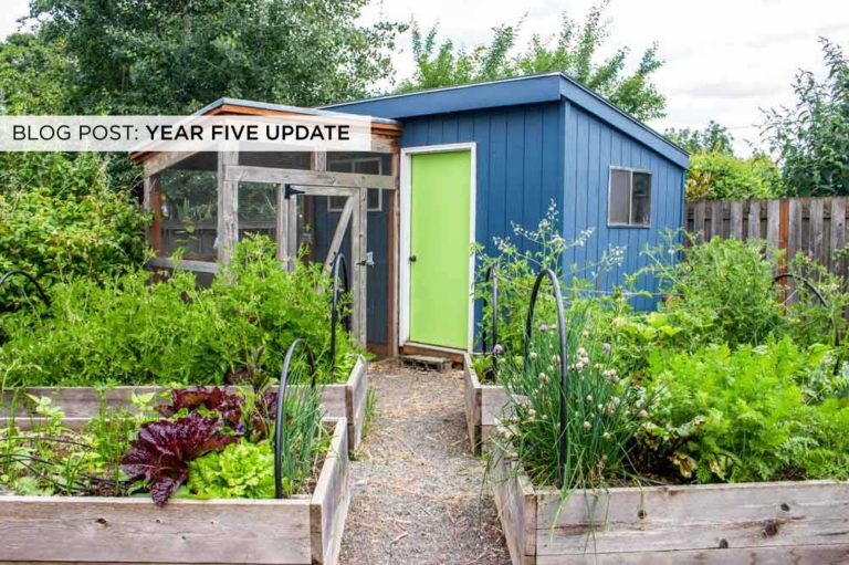 Homestead Update: Year Five