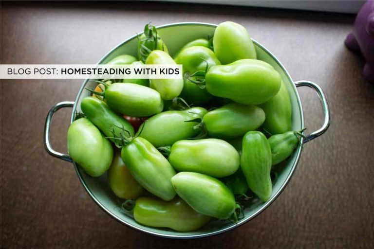 Homesteading with Kids