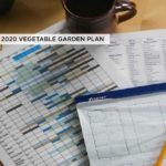 2020 Vegetable Garden Plan