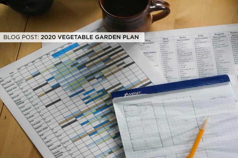 2020 Vegetable Garden Plan