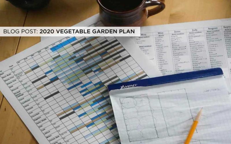 2020 Vegetable Garden Plan
