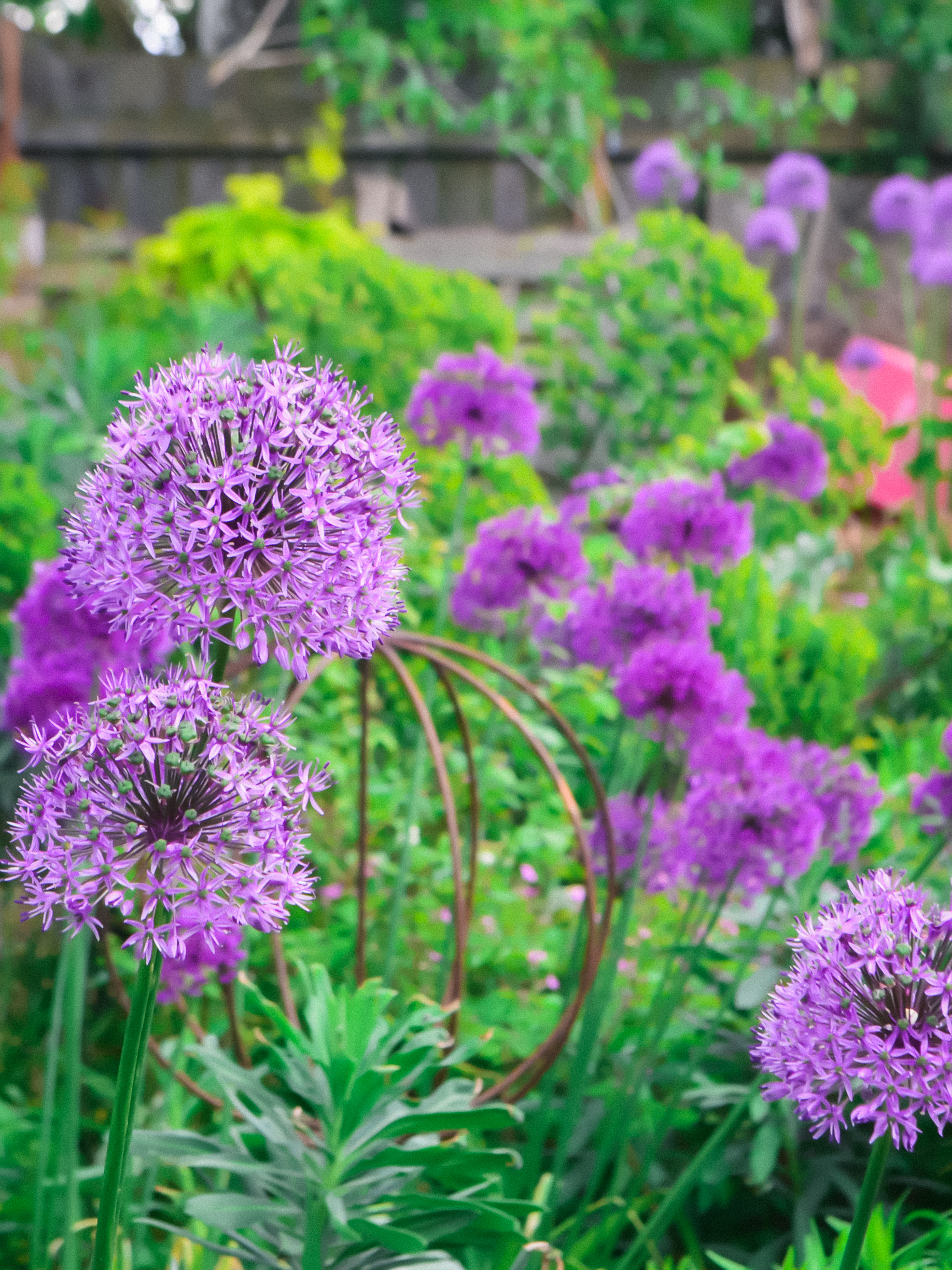 Landscape design projects